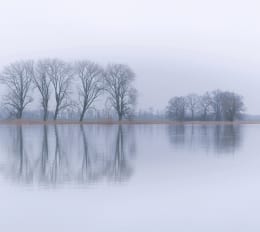 Unsichtbare Muster sichtbar machen